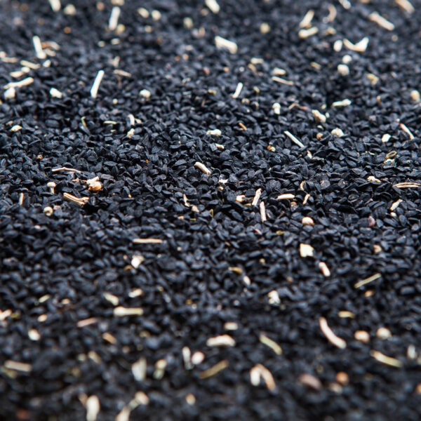 Cumin Seeds (Jeera)