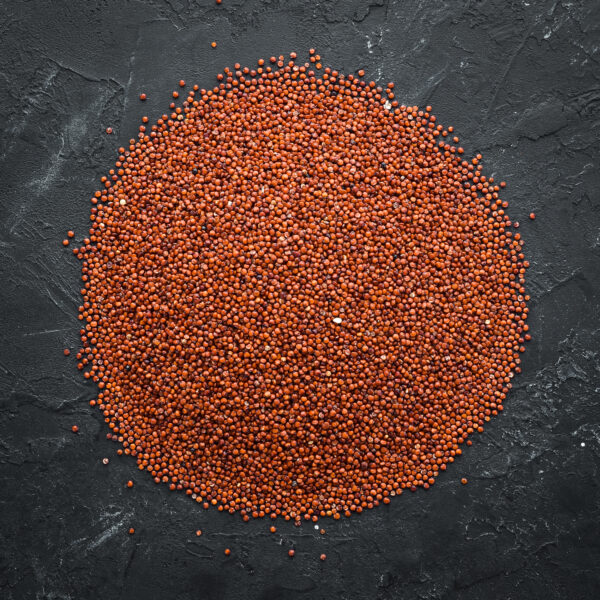 Mustard Seeds