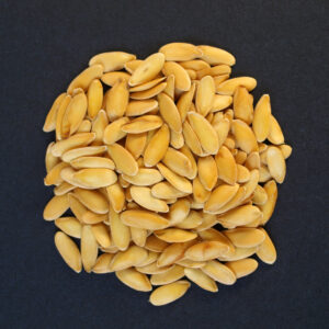 Cucumber Seeds