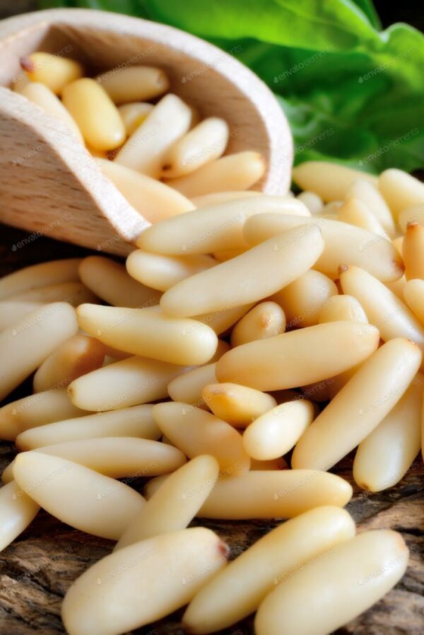 Pine Nuts Collection — With Shell & Without Shell - Image 2